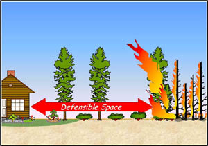 Defensible Space Graphic